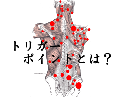 トリガーポイントとは